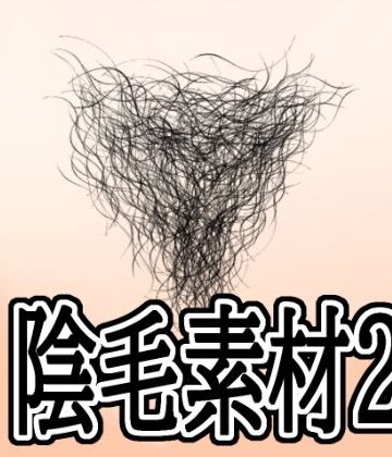 【無料フル】陰毛素材2｜d_788941