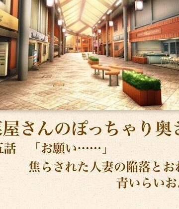 【無料フル】【官能小説】惣菜屋さんのぽっちゃり奥さん 第五話 「お願い……」焦らされた人妻の陥落とおねだり｜d_795650